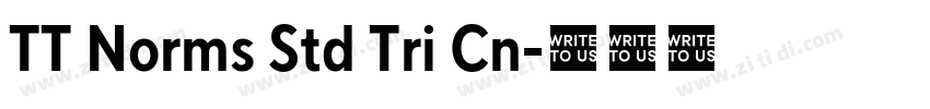 TT Norms Std Tri Cn字体转换